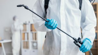 MM Prevención y Control de Plagas