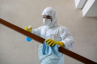 MM Prevención y Control de Plagas