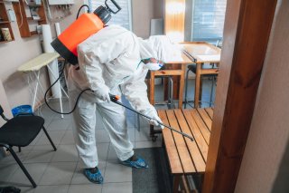 MM Prevención y Control de Plagas
